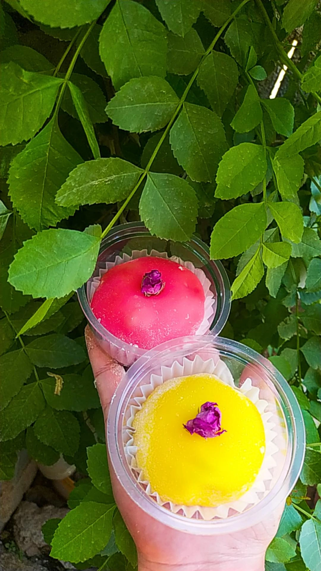 شیرینی و دسرهای خانگی ( موچی ژاپنی )